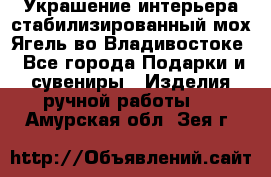 Украшение интерьера стабилизированный мох Ягель во Владивостоке - Все города Подарки и сувениры » Изделия ручной работы   . Амурская обл.,Зея г.